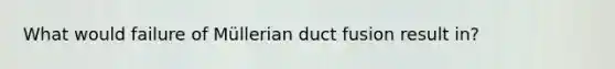 What would failure of Müllerian duct fusion result in?