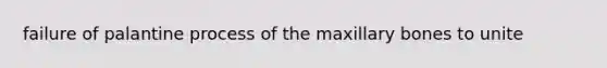 failure of palantine process of the maxillary bones to unite