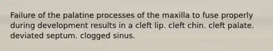 Failure of the palatine processes of the maxilla to fuse properly during development results in a cleft lip. cleft chin. cleft palate. deviated septum. clogged sinus.