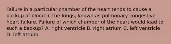 Failure in a particular chamber of the heart tends to cause a backup of blood in the lungs, known as pulmonary congestive heart failure. Failure of which chamber of the heart would lead to such a backup? A. right ventricle B. right atrium C. left ventricle D. left atrium