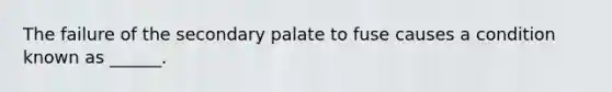 The failure of the secondary palate to fuse causes a condition known as ______.