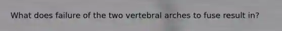 What does failure of the two vertebral arches to fuse result in?