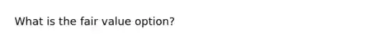 What is the fair value option?