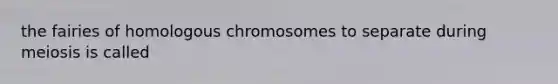 the fairies of homologous chromosomes to separate during meiosis is called