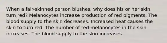 When a fair-skinned person blushes, why does his or her skin turn red? Melanocytes increase production of red pigments. The blood supply to the skin decreases. Increased heat causes the skin to turn red. The number of red melanocytes in the skin increases. The blood supply to the skin increases.