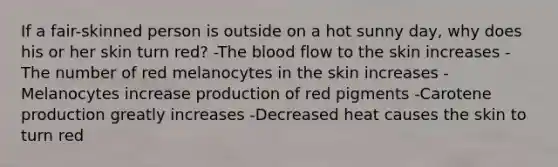 If a fair-skinned person is outside on a hot sunny day, why does his or her skin turn red? -The blood flow to the skin increases -The number of red melanocytes in the skin increases -Melanocytes increase production of red pigments -Carotene production greatly increases -Decreased heat causes the skin to turn red