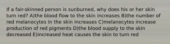 If a fair-skinned person is sunburned, why does his or her skin turn red? A)the blood flow to the skin increases B)the number of red melanocytes in the skin increases C)melanocytes increase production of red pigments D)the blood supply to the skin decreased E)increased heat causes the skin to turn red