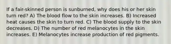 If a fair-skinned person is sunburned, why does his or her skin turn red? A) The blood flow to the skin increases. B) Increased heat causes the skin to turn red. C) The blood supply to the skin decreases. D) The number of red melanocytes in the skin increases. E) Melanocytes increase production of red pigments.