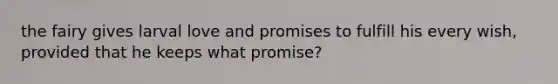 the fairy gives larval love and promises to fulfill his every wish, provided that he keeps what promise?