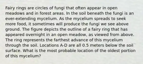 Fairy rings are circles of fungi that often appear in open meadows and in forest areas. In the soil beneath the fungi is an ever-extending mycelium. As the mycelium spreads to seek more food, it sometimes will produce the fungi we see above ground. The figure depicts the outline of a fairy ring that has appeared overnight in an open meadow, as viewed from above. The ring represents the farthest advance of this mycelium through the soil. Locations A-D are all 0.5 meters below the soil surface. What is the most probable location of the oldest portion of this mycelium?