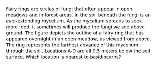 Fairy rings are circles of fungi that often appear in open meadows and in forest areas. In the soil beneath the fungi is an ever-extending mycelium. As the mycelium spreads to seek more food, it sometimes will produce the fungi we see above ground. The figure depicts the outline of a fairy ring that has appeared overnight in an open meadow, as viewed from above. The ring represents the farthest advance of this mycelium through the soil. Locations A-D are all 0.5 meters below the soil surface. Which location is nearest to basidiocarps?