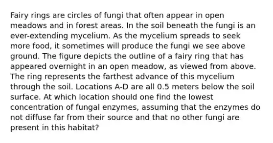 Fairy rings are circles of fungi that often appear in open meadows and in forest areas. In the soil beneath the fungi is an ever-extending mycelium. As the mycelium spreads to seek more food, it sometimes will produce the fungi we see above ground. The figure depicts the outline of a fairy ring that has appeared overnight in an open meadow, as viewed from above. The ring represents the farthest advance of this mycelium through the soil. Locations A-D are all 0.5 meters below the soil surface. At which location should one find the lowest concentration of fungal enzymes, assuming that the enzymes do not diffuse far from their source and that no other fungi are present in this habitat?