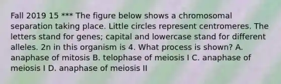 Fall 2019 15 *** The figure below shows a chromosomal separation taking place. Little circles represent centromeres. The letters stand for genes; capital and lowercase stand for different alleles. 2n in this organism is 4. What process is shown? A. anaphase of mitosis B. telophase of meiosis I C. anaphase of meiosis I D. anaphase of meiosis II