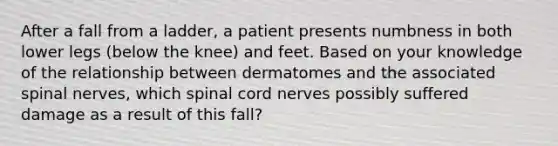 After a fall from a ladder, a patient presents numbness in both lower legs (below the knee) and feet. Based on your knowledge of the relationship between dermatomes and the associated spinal nerves, which spinal cord nerves possibly suffered damage as a result of this fall?