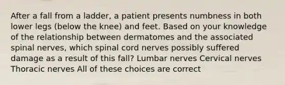 After a fall from a ladder, a patient presents numbness in both lower legs (below the knee) and feet. Based on your knowledge of the relationship between dermatomes and the associated spinal nerves, which spinal cord nerves possibly suffered damage as a result of this fall? Lumbar nerves Cervical nerves Thoracic nerves All of these choices are correct