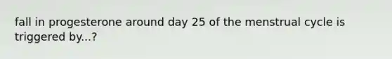 fall in progesterone around day 25 of the menstrual cycle is triggered by...?