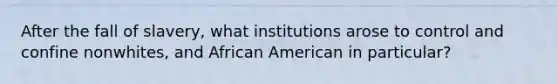 After the fall of slavery, what institutions arose to control and confine nonwhites, and African American in particular?