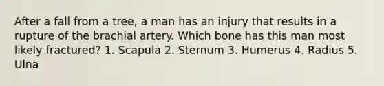 After a fall from a tree, a man has an injury that results in a rupture of the brachial artery. Which bone has this man most likely fractured? 1. Scapula 2. Sternum 3. Humerus 4. Radius 5. Ulna