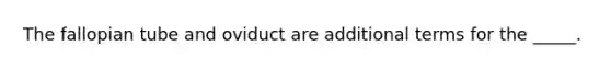 The fallopian tube and oviduct are additional terms for the _____.