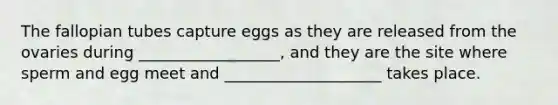 The fallopian tubes capture eggs as they are released from the ovaries during __________________, and they are the site where sperm and egg meet and ____________________ takes place.