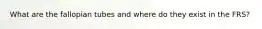 What are the fallopian tubes and where do they exist in the FRS?