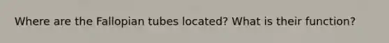 Where are the Fallopian tubes located? What is their function?