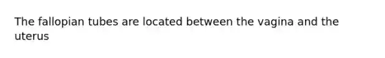 The fallopian tubes are located between the vagina and the uterus