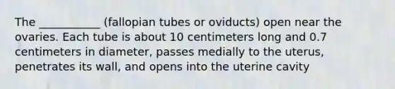 The ___________ (fallopian tubes or oviducts) open near the ovaries. Each tube is about 10 centimeters long and 0.7 centimeters in diameter, passes medially to the uterus, penetrates its wall, and opens into the uterine cavity