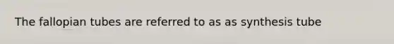 The fallopian tubes are referred to as as synthesis tube