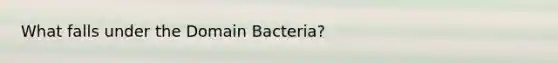 What falls under the Domain Bacteria?