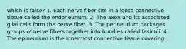 which is false? 1. Each nerve fiber sits in a loose connective tissue called the endoneurium. 2. The axon and its associated glial cells form the nerve fiber. 3. The perineurium packages groups of nerve fibers together into bundles called fasiculi. 4. The epineurium is the innermost connective tissue covering.