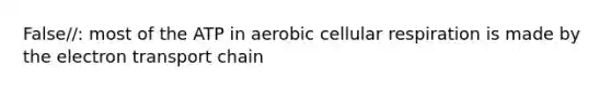 False//: most of the ATP in aerobic cellular respiration is made by <a href='https://www.questionai.com/knowledge/k57oGBr0HP-the-electron-transport-chain' class='anchor-knowledge'>the electron transport chain</a>