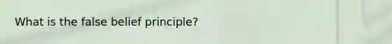 What is the false belief principle?