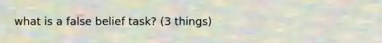 what is a false belief task? (3 things)