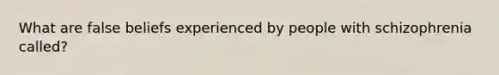 What are false beliefs experienced by people with schizophrenia called?