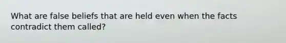 What are false beliefs that are held even when the facts contradict them called?
