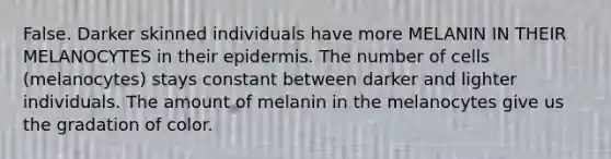 False. Darker skinned individuals have more MELANIN IN THEIR MELANOCYTES in their epidermis. The number of cells (melanocytes) stays constant between darker and lighter individuals. The amount of melanin in the melanocytes give us the gradation of color.