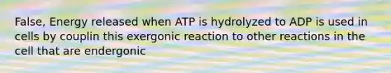 False, Energy released when ATP is hydrolyzed to ADP is used in cells by couplin this exergonic reaction to other reactions in the cell that are endergonic