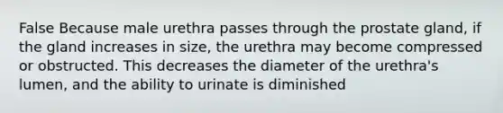 False Because male urethra passes through the prostate gland, if the gland increases in size, the urethra may become compressed or obstructed. This decreases the diameter of the urethra's lumen, and the ability to urinate is diminished