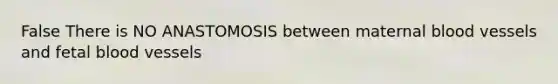 False There is NO ANASTOMOSIS between maternal <a href='https://www.questionai.com/knowledge/kZJ3mNKN7P-blood-vessels' class='anchor-knowledge'>blood vessels</a> and fetal blood vessels