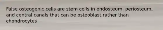 False osteogenic cells are stem cells in endosteum, periosteum, and central canals that can be osteoblast rather than chondrocytes