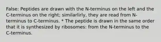 False: Peptides are drawn with the N-terminus on the left and the C-terminus on the right; similarlirly, they are read from N-terminus to C-terminus. * The peptide is drawn in the same order that it is synthesized by ribosomes: from the N-terminus to the C-terminus.