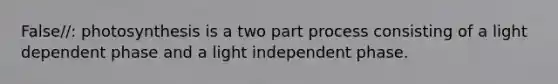 False//: photosynthesis is a two part process consisting of a light dependent phase and a light independent phase.