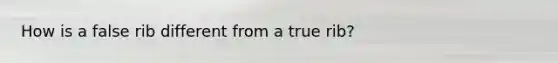 How is a false rib different from a true rib?