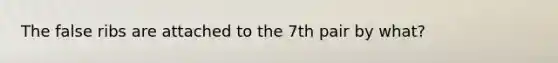 The false ribs are attached to the 7th pair by what?