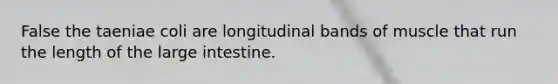 False the taeniae coli are longitudinal bands of muscle that run the length of the large intestine.