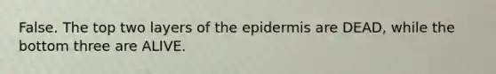 False. The top two layers of the epidermis are DEAD, while the bottom three are ALIVE.