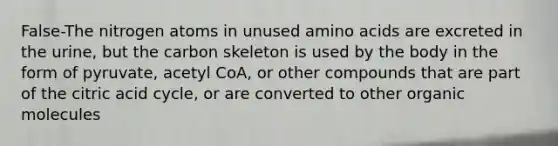 False-The nitrogen atoms in unused amino acids are excreted in the urine, but the carbon skeleton is used by the body in the form of pyruvate, acetyl CoA, or other compounds that are part of the citric acid cycle, or are converted to other organic molecules