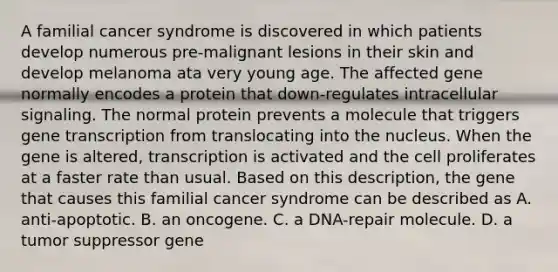 A familial cancer syndrome is discovered in which patients develop numerous pre-malignant lesions in their skin and develop melanoma ata very young age. The affected gene normally encodes a protein that down-regulates intracellular signaling. The normal protein prevents a molecule that triggers gene transcription from translocating into the nucleus. When the gene is altered, transcription is activated and the cell proliferates at a faster rate than usual. Based on this description, the gene that causes this familial cancer syndrome can be described as A. anti-apoptotic. B. an oncogene. C. a DNA-repair molecule. D. a tumor suppressor gene