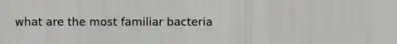 what are the most familiar bacteria